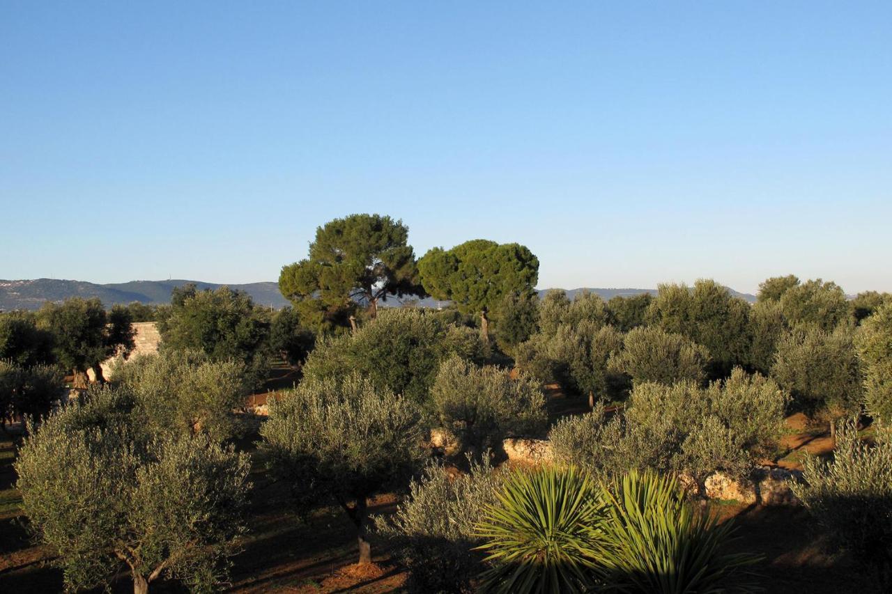 Boutique Hotel Masseria Sottomasi 사벨레트리 외부 사진