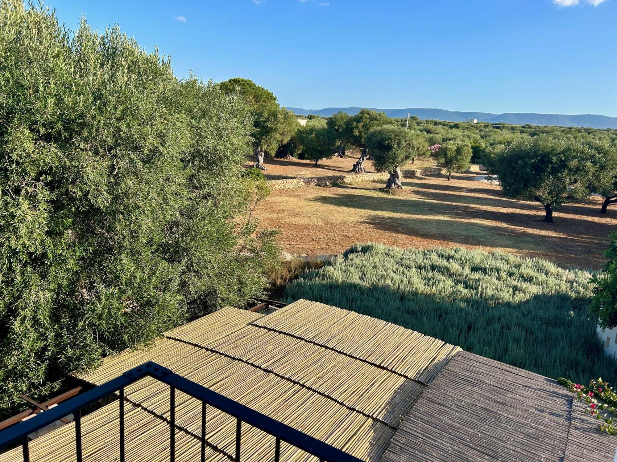 Boutique Hotel Masseria Sottomasi 사벨레트리 외부 사진