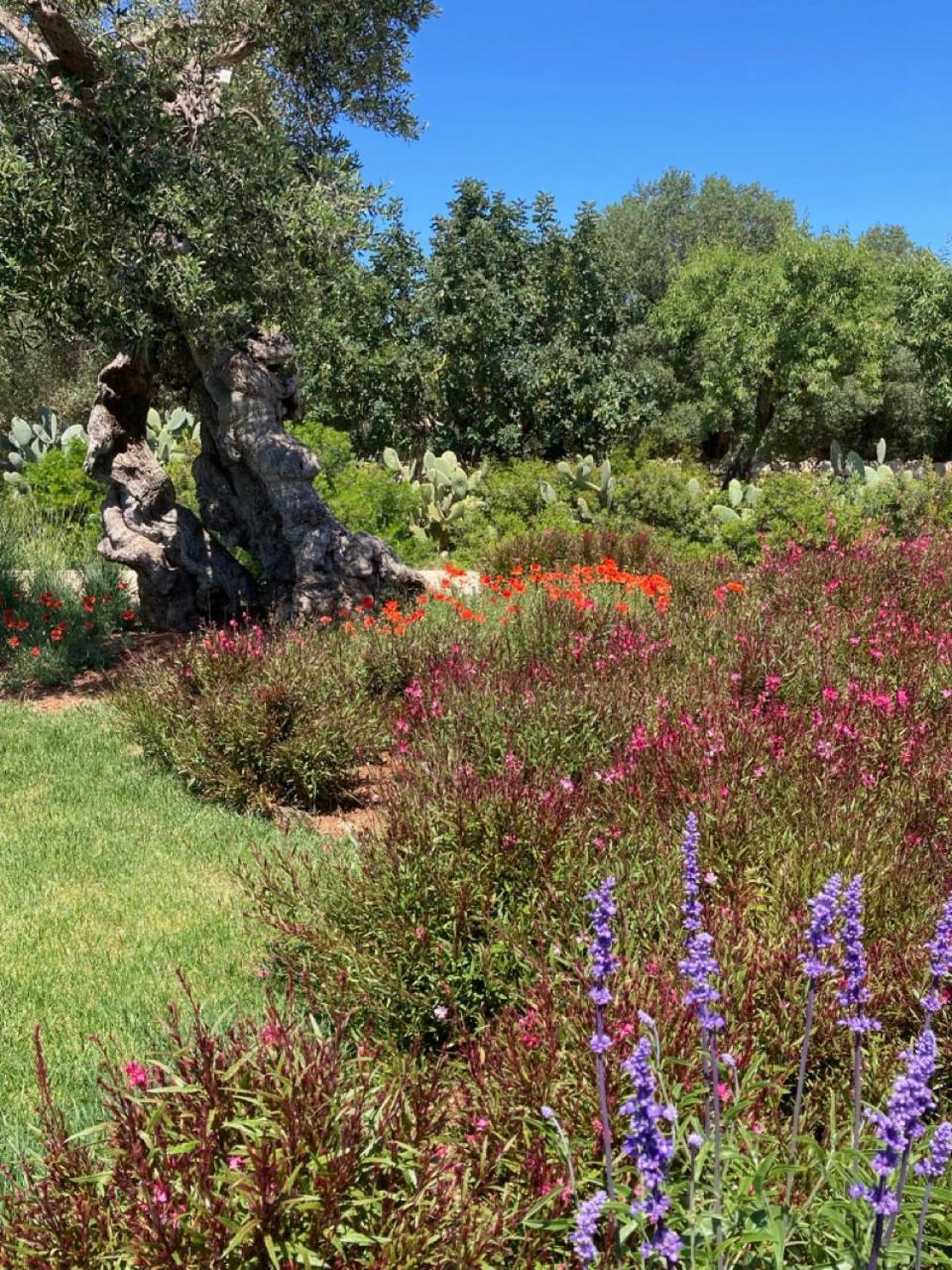 Boutique Hotel Masseria Sottomasi 사벨레트리 외부 사진