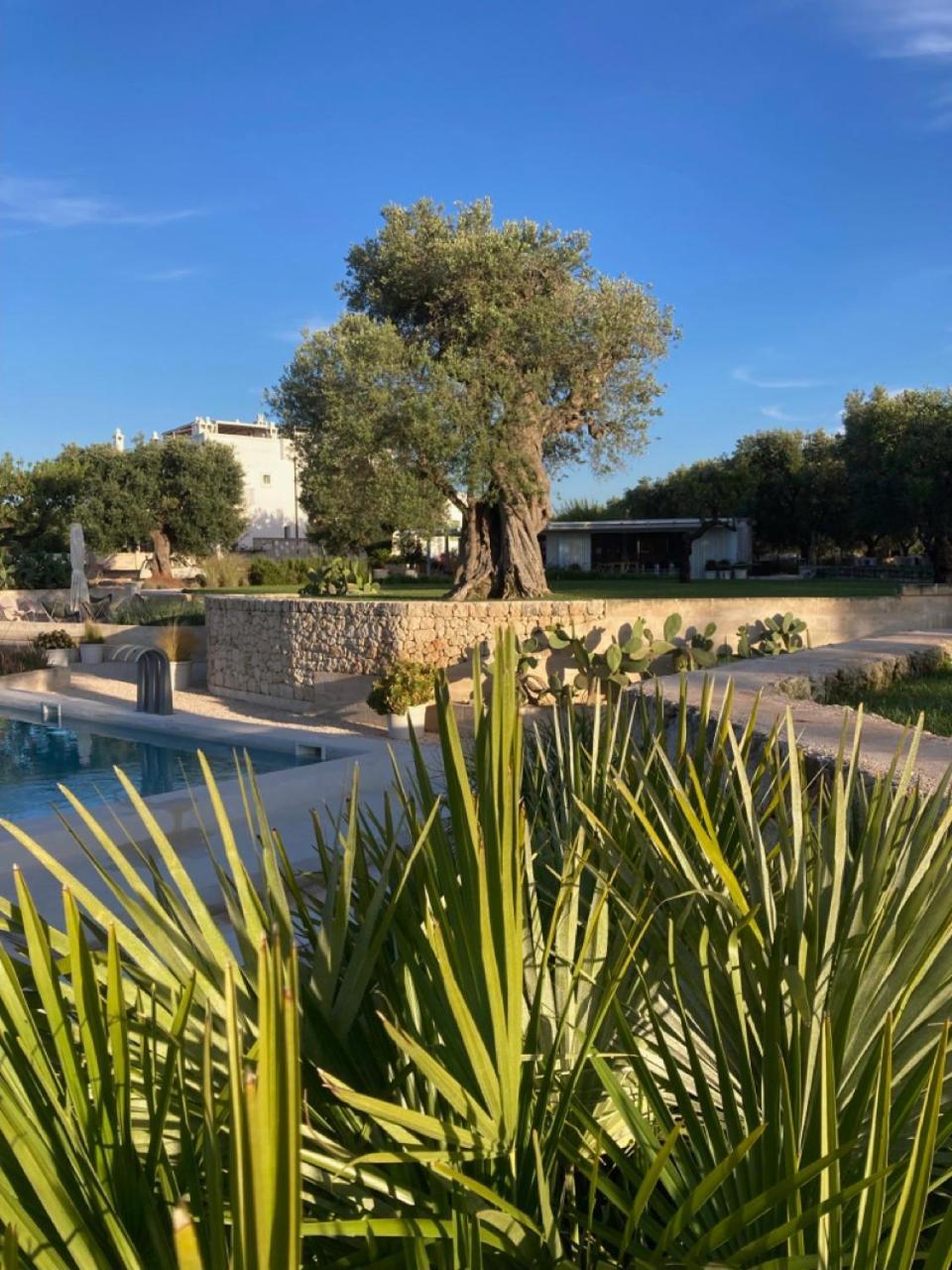 Boutique Hotel Masseria Sottomasi 사벨레트리 외부 사진