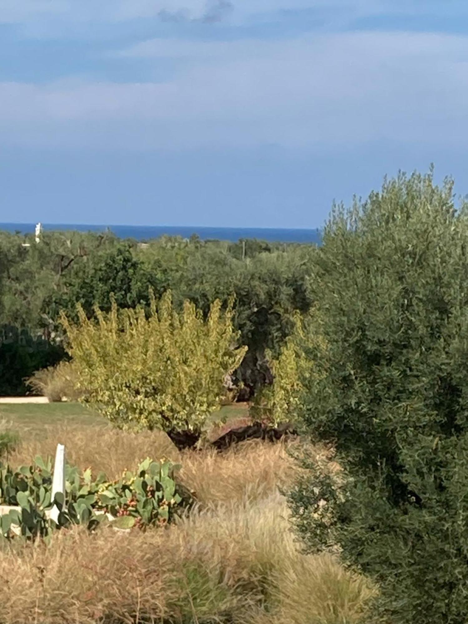 Boutique Hotel Masseria Sottomasi 사벨레트리 외부 사진